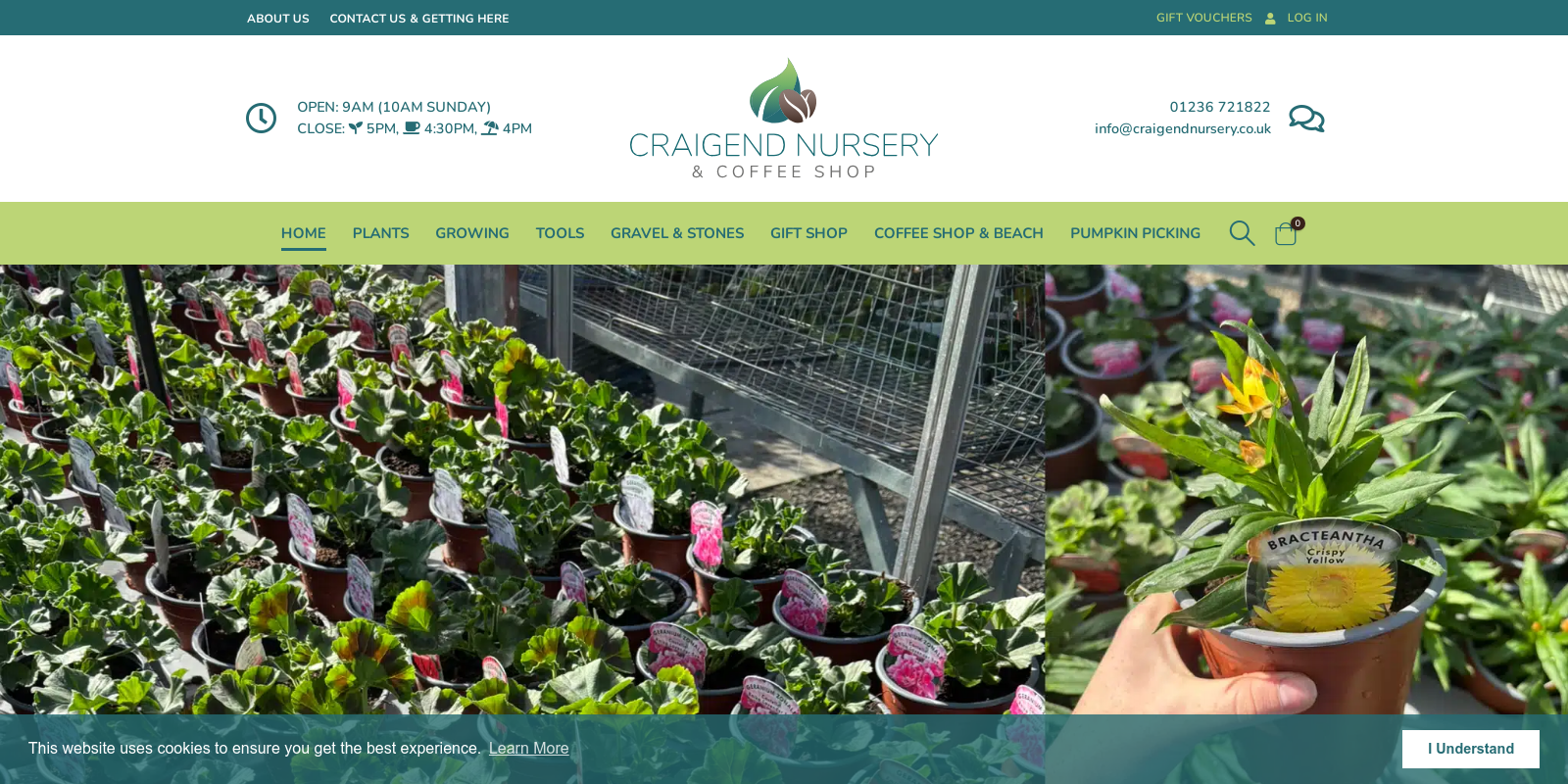 Preview of https://www.craigendnursery.co.uk/