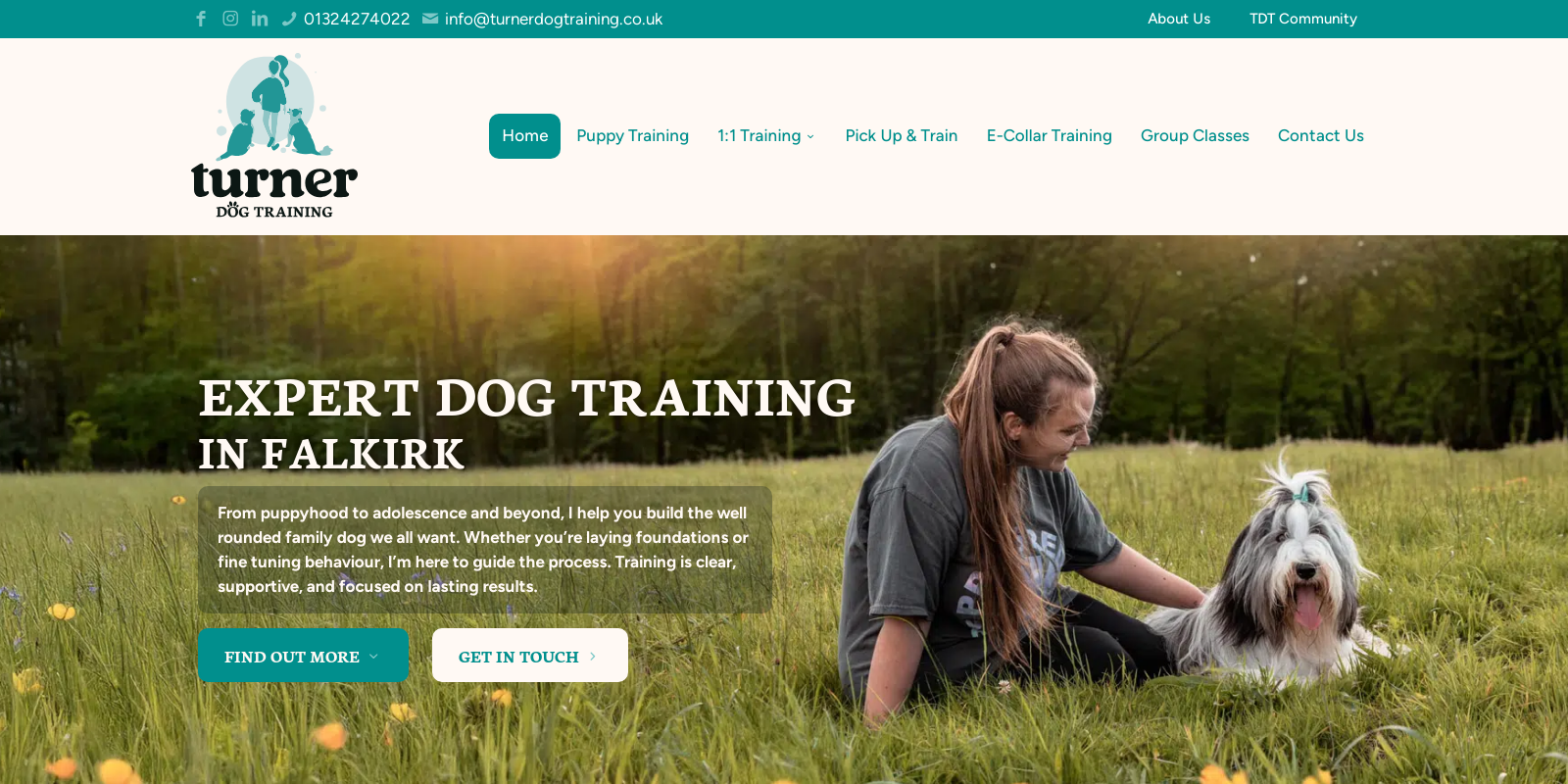 Preview of https://www.turnerdogtraining.co.uk/